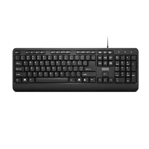 LENOVO 160 Žična US Crna (GY41L68463)
